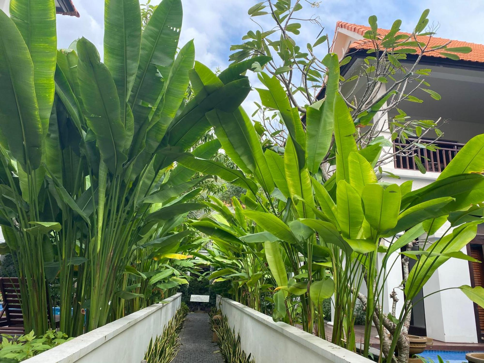 Tropical Pool Villas Đà Nẵng Kültér fotó